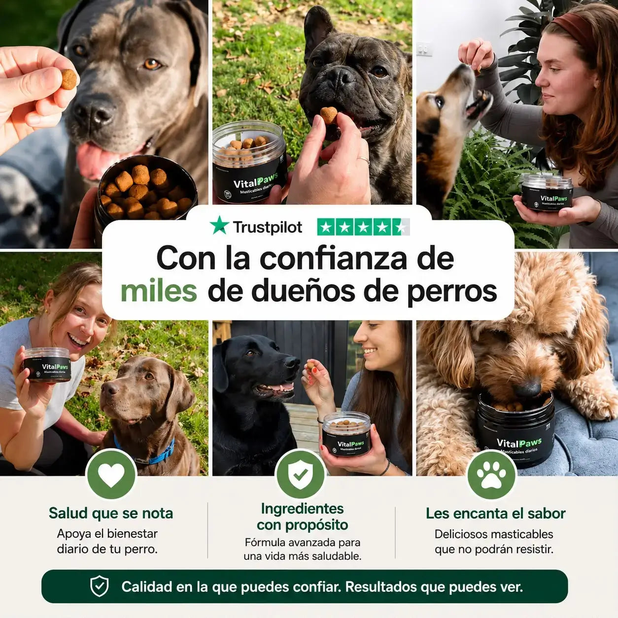 Masticable multivitaminico Diario Para Perros