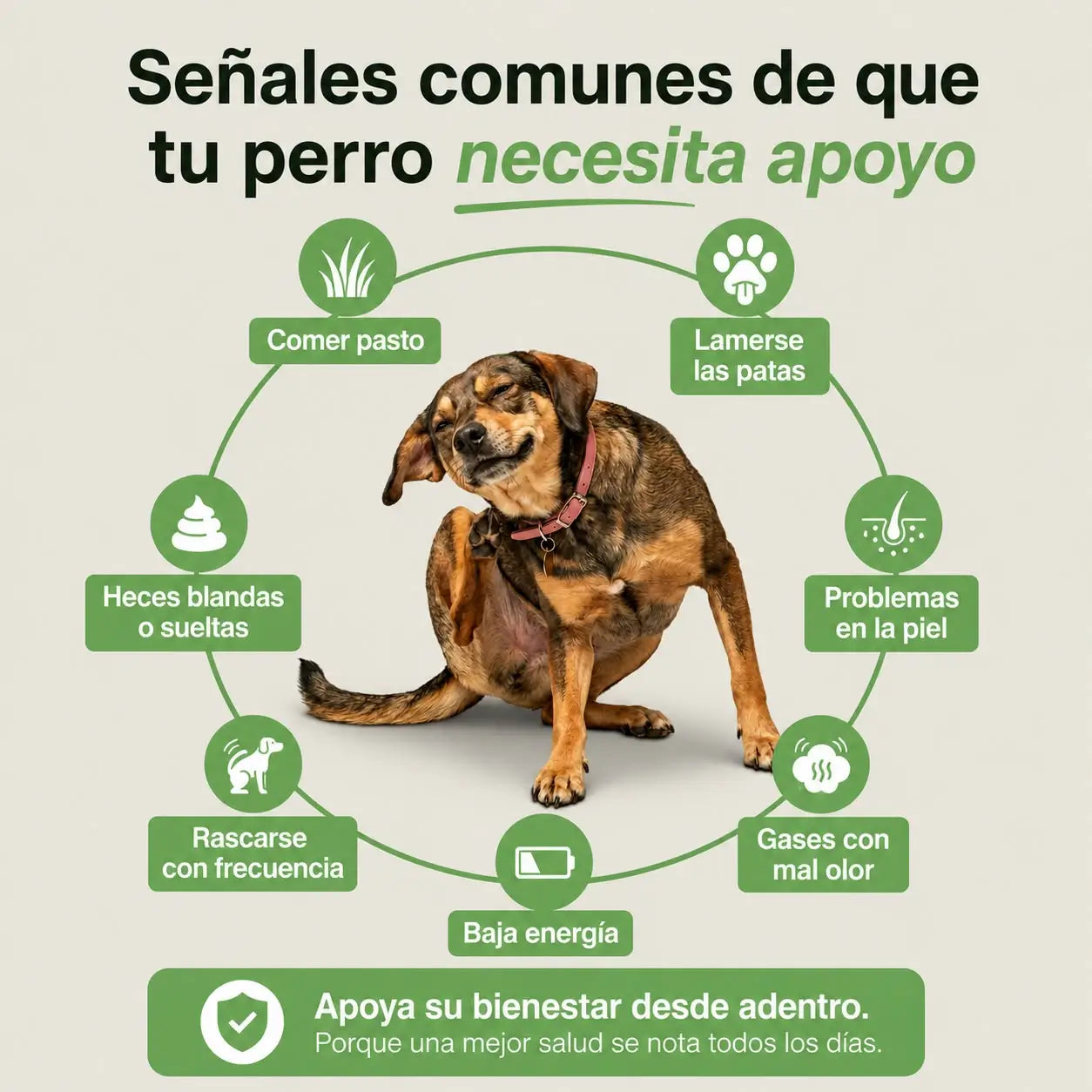Masticable multivitaminico Diario Para Perros